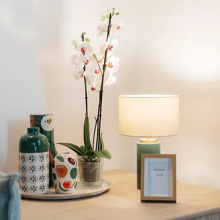 El Moli Nou - Rural Flats *