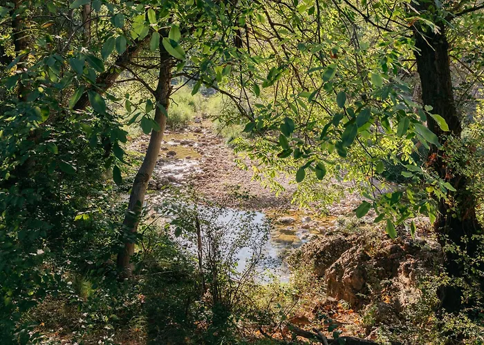 El Moli Nou - Rural Flats Lägenhet Peñarroya de Tastavins