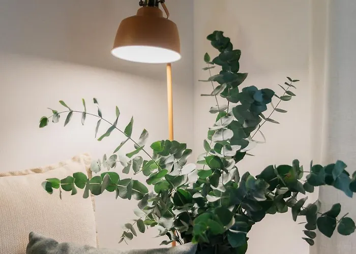 Lägenhet El Moli Nou - Rural Flats *